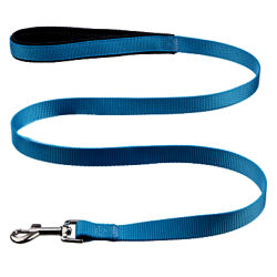 Fred & Ginger Blue Nylon Dog Lead